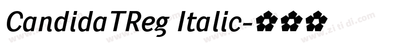 CandidaTReg Italic字体转换